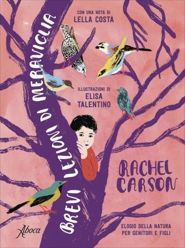Libro brevi lezioni - libro, di